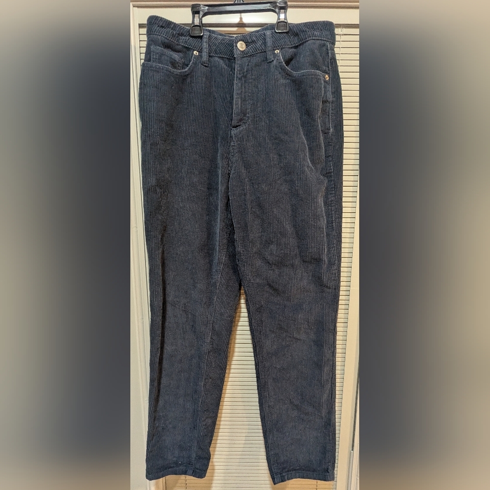 BDG Urban Outfitters High Rise Straight Leg Mom Corduroy Blue Pants Size 29